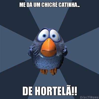 ME D UM CHICR CATINHA... DE HORTEL!!