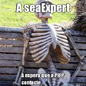 A seaExpert  espera que o PIEP
contacte