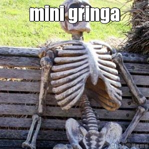 mini gringa 