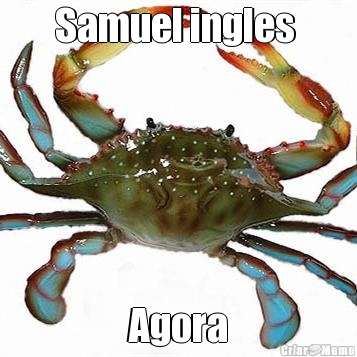 Samuel ingles  Agora

Agora

