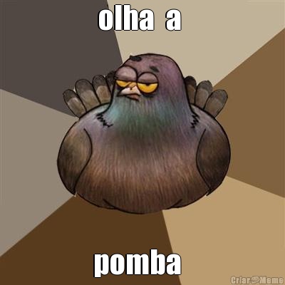 olha  a  pomba  