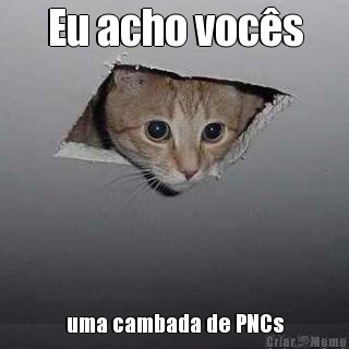 Eu acho vocs uma cambada de PNCs