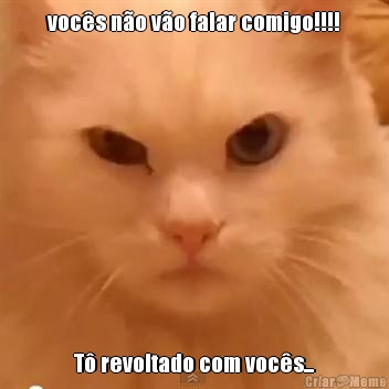 vocs no vo falar comigo!!!! T revoltado com vocs...