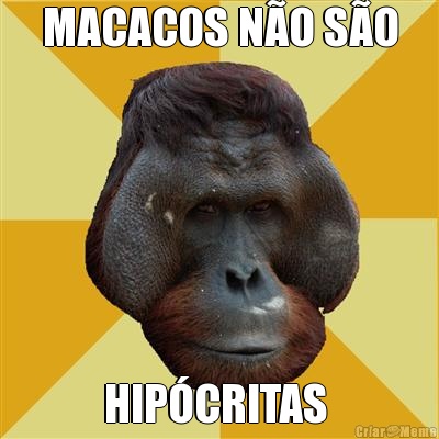 MACACOS NO SO HIPCRITAS 