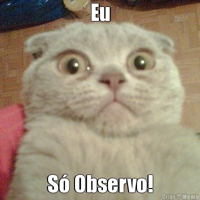 Eu S Observo!