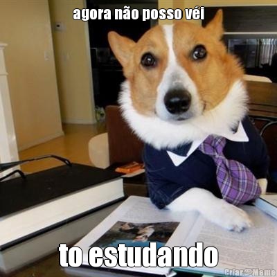 agora no posso vi to estudando