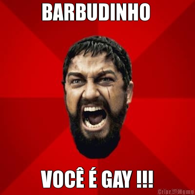 BARBUDINHO  VOC  GAY !!!
