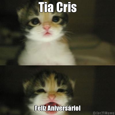 Tia Cris Feliz Aniversrio!