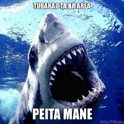 TUBARAO TA NA AREA PEITA MANE