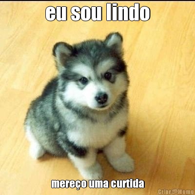 eu sou lindo mereo uma curtida