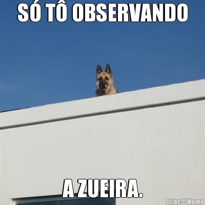 S T OBSERVANDO A ZUEIRA.