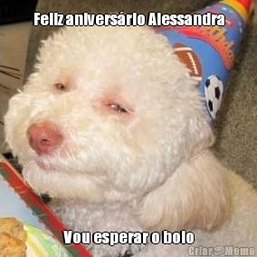 Feliz aniversrio Alessandra Vou esperar o bolo