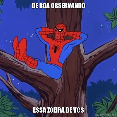 DE BOA OBSERVANDO ESSA ZOEIRA DE VCS