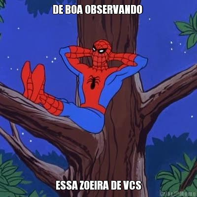 DE BOA OBSERVANDO  ESSA ZOEIRA DE VCS