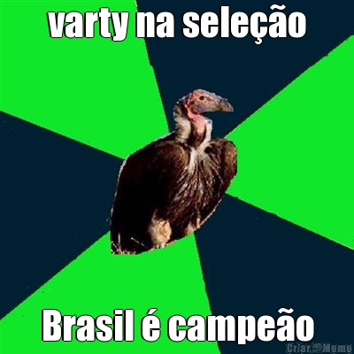 varty na seleo Brasil  campeo